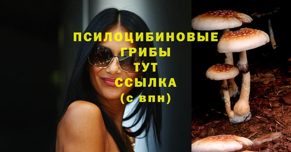 дживик Абаза