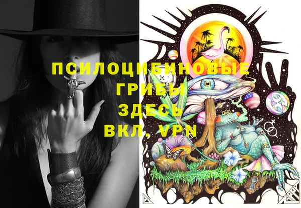 дурь Абдулино