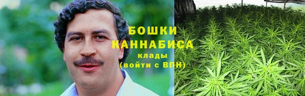 дживик Абаза